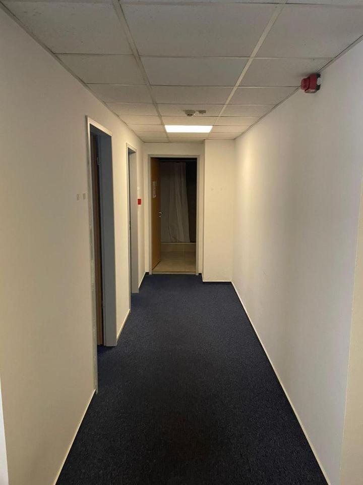 Viola Hostel Budapeszt Zewnętrze zdjęcie